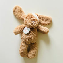 Load image into Gallery viewer, Image of plush toy in a new baby gift basket in Fort McMurray, Alberta.