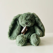 Load image into Gallery viewer, Image of plush toy in baby gift basket in Fort McMurray, Alberta.