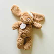 Load image into Gallery viewer, Image of plush toy in a new baby gift basket in Fort McMurray, Alberta. 
