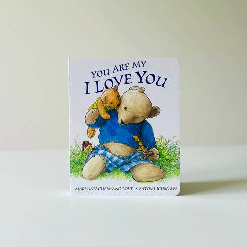 Image of baby book in baby gift basket in Fort McMurray, Alberta.